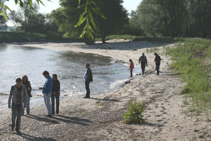 Natuur rondom Slot Loevestein