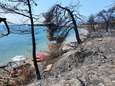 Bosbrand op Grieks eiland heeft grote gevolgen: ‘Wie wil vakantie vieren in zwartgeblakerd landschap?’