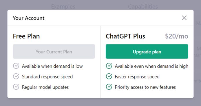 Je kan sinds vrijdag betalen voor ChatGPT Plus. Dat kost je 20 dollar per maand, plus btw.