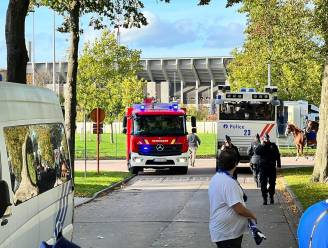 Nieuwe Voetbalwet wordt strenger voor wie geweld gebruikt tegen stewards of vuurwerk binnen smokkelt: “Ook nodig in Brugge”