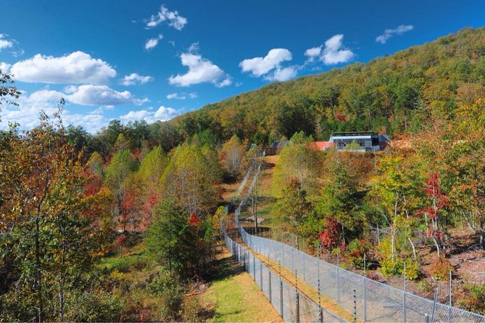 De Peachtree habitat van 6 hectare.