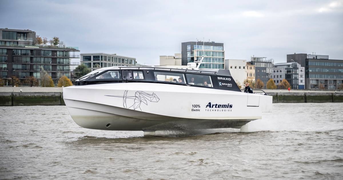 Uitbater Waterbus test elektrische draagvleugelboot op Schelde: "Op half uur van Temse naar Antwerpen"