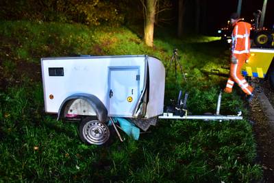 Twee Deense dogs overleden bij aanrijding op Zuilense Ring