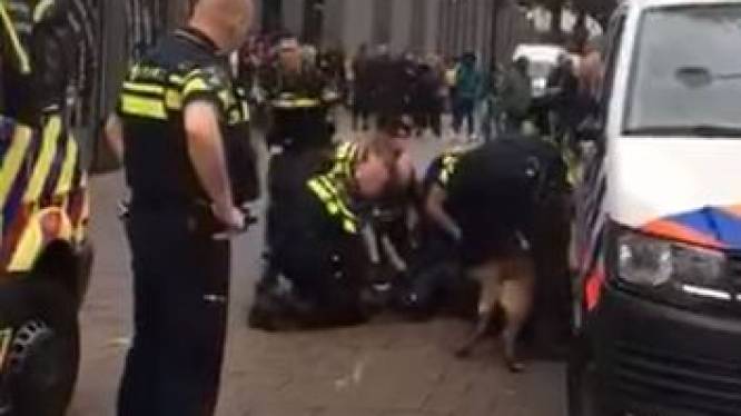 Rotterdam ‘bijthoofdstad’: in geen enkele andere stad zet een politiehond zo vaak zijn tanden in een verdachte