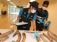 Thaise douane onderschept lading hoorns met marktwaarde van 360.000 euro
