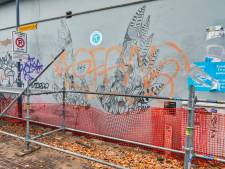 Verval straatkunst vraagt steeds meer aandacht bij Blind Walls Gallery