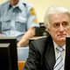 Radovan Karadzic krijgt 40 jaar voor genocide