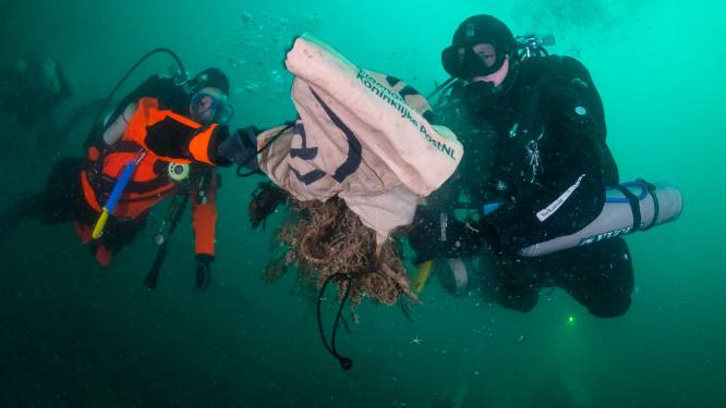 Duikers houden grote schoonmaak rond wrakken in Noordzee