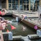 Verplicht hengelen naar goudvissen in de Arnhemse gracht