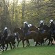 Politie te paard kan maar op derde van aanvragen ingaan