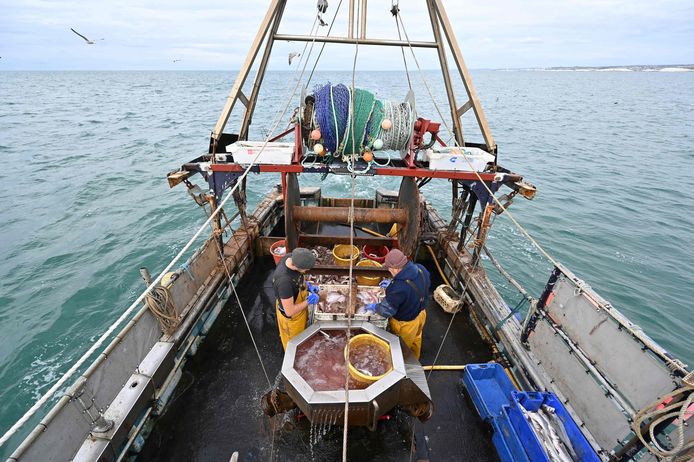 Vissers aan de zuidoostelijke kust van Engeland. De Europese Unie heeft een voorstel van het Verenigd Koninkrijk rond visserij als concessie in het slepende brexitoverleg verworpen.
