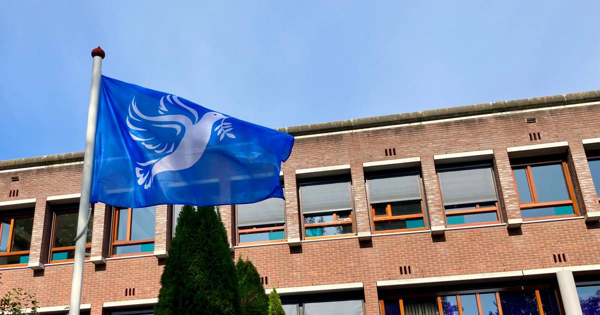 Geen buitenlandse vlaggen meer bij Tiels stadhuis | Tiel | gelderlander.nl