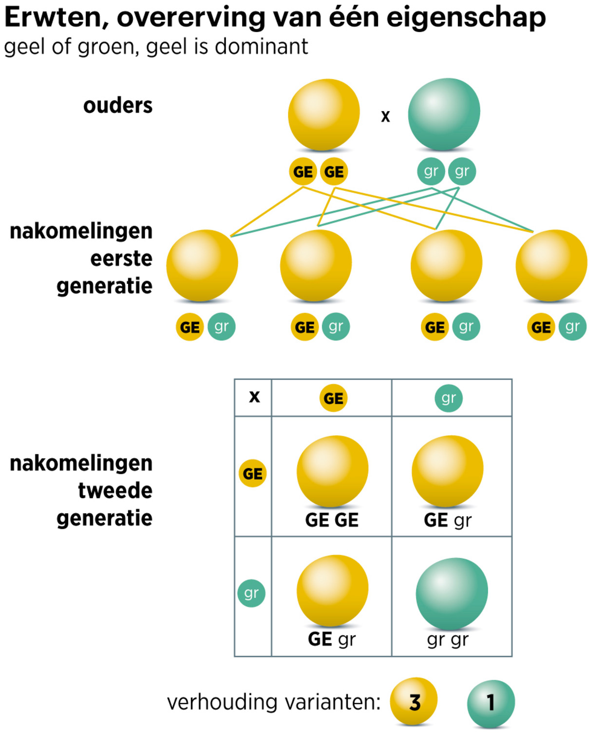 Figura 1 Statua di Bart Friso
