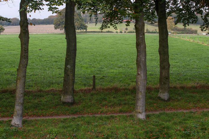 Veld Beukenlaan Arnhem mogelijke woningbouw