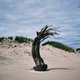Kunsttriënnale Beaufort brengt topkunstenaars naar de Belgische kust