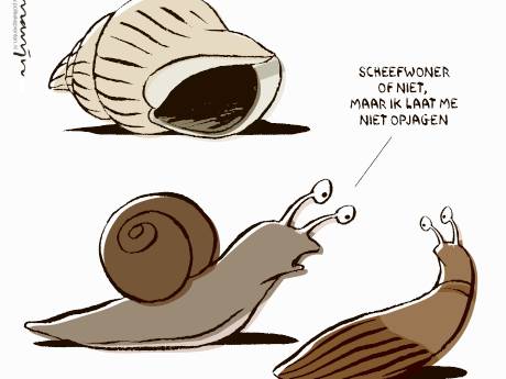 Scheefwoners krassen niet zomaar op