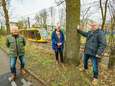Bewoners tegen kap ‘gevaarlijke bomen’: ‘Tram heeft al die jaren nog nooit door een tak stilgestaan’ 