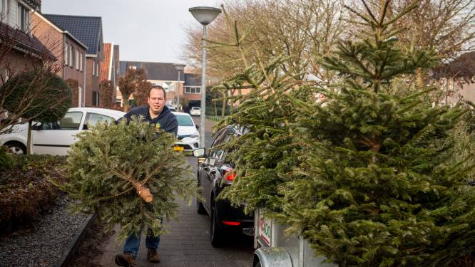 Volle aanhangers met kerstbomen voor paasvuur Dijkerhoek: ‘Als we mee willen doen voor de prijzen dan kunnen we niet langer wachten’
