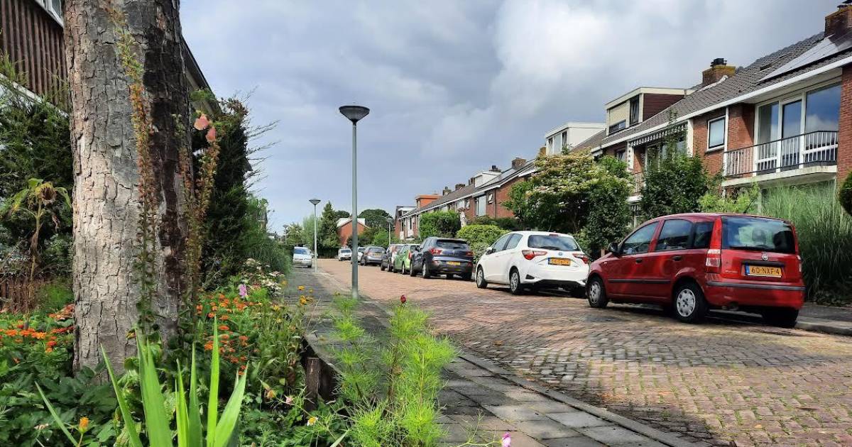 ‘Buurtopa’ gaat twee jaar de cel in na misbruik oppaskinderen en mag 5 jaar Dubbeldam niet in | Dord