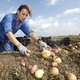Supermarkten en boeren willen af van zwakke piepers