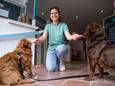 Uitbaatster Nathalie De Coster laat haar eigen honden proeven van het hondenijs