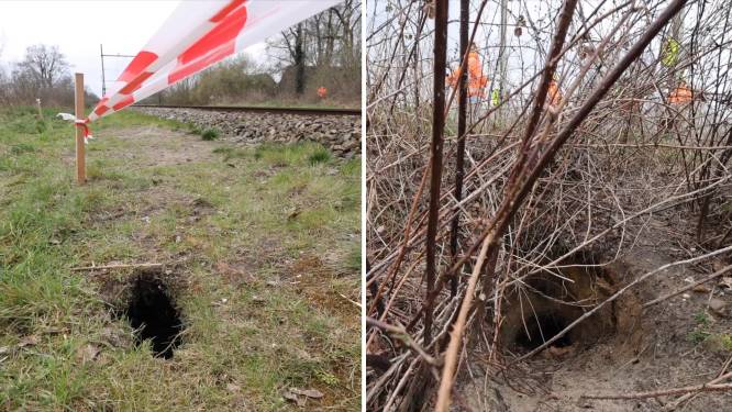 ProRail start herstel door dassenburcht gestremd spoor Esch, mogelijk snel weer treinen