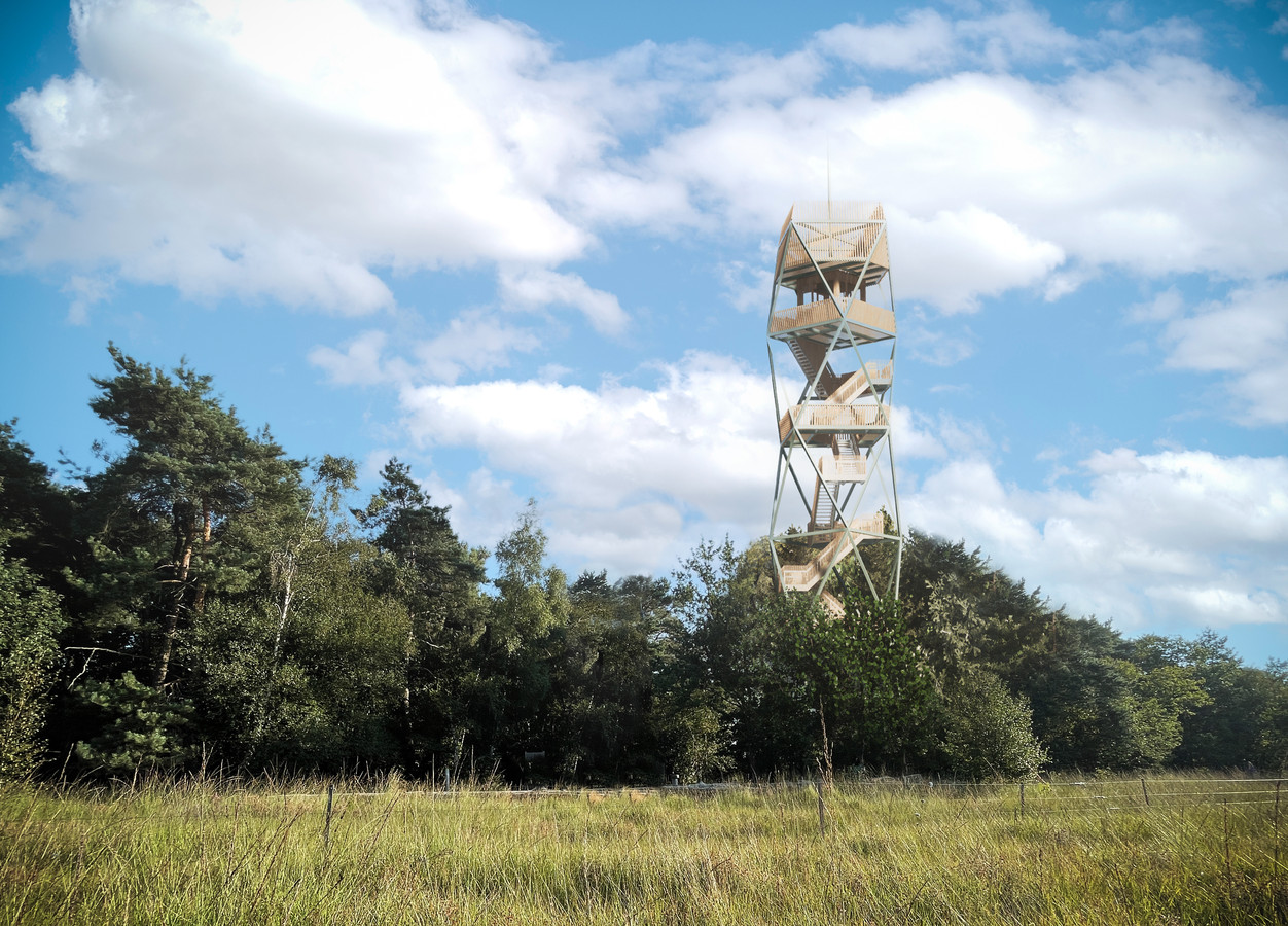 Zo zal de nieuwe brandtoren op de Kalmthoutse Heide eruit gaan zien.