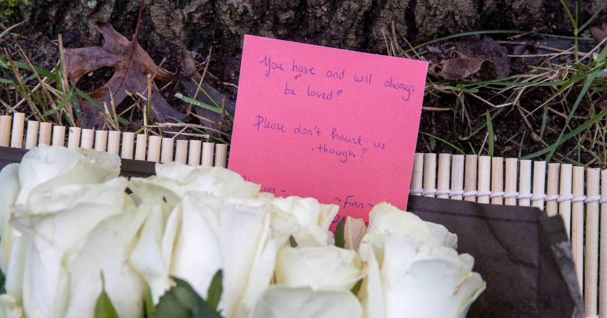 Witte rozen op plek van fataal ongeluk van 18-jarige studente in Wageningen: ‘You will always be loved’