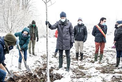 “Ondoordacht en absurd”: Premier Alexander De Croo en minister Tinne Van der Straeten planten bomen in koudste week van het jaar