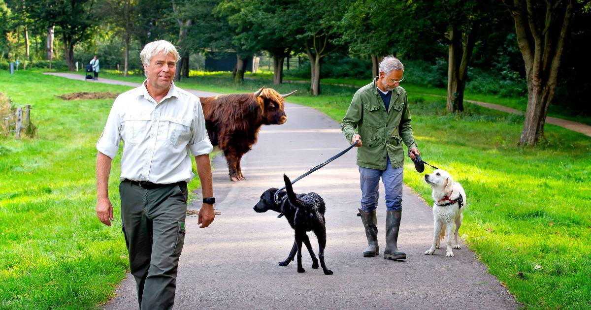 Hondenbaasjes opgelet: er gaat het een en ander veranderen bij de Rottemeren