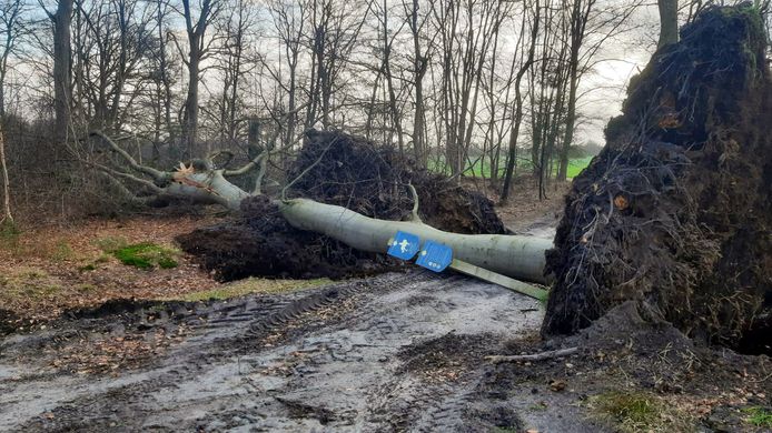 De ruiter-, wandel- en mountainbikepaden in Den Treek zijn afgesloten..