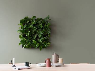 Last van stress? Koop een stukje boslucht voor aan de muur