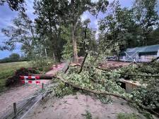 Onweer en windstoten richten schade aan in Brabant, bliksem splijt boom