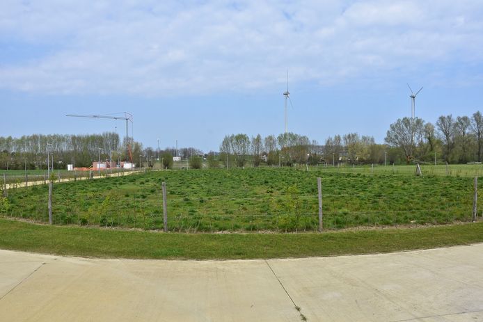 Tuinieren op Langwater - het perceel van 2700 vierkante meter.