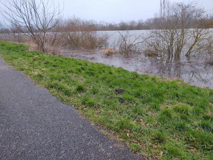 In Vlassenbroek is de dijk maar net hoog genoeg om het water tegen te houden.