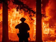 Foudre, vents violents: en Californie, cet incendie est si important qu'il génère son propre climat