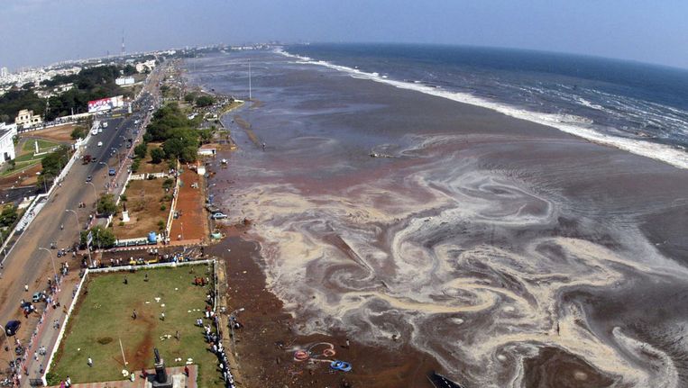 Sri Lanka, 2004: de kust ligt er zwaar gehavend bij nadat een tsunami verwoestend toesloeg. Beeld REUTERS