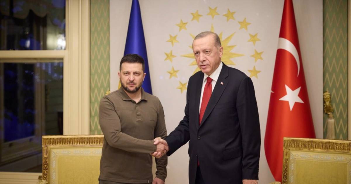 He lives.  Zelensky and Erdogan call for the reopening of the grain corridor – Putin: “Poland wants to tear part of Ukraine for itself” |  News