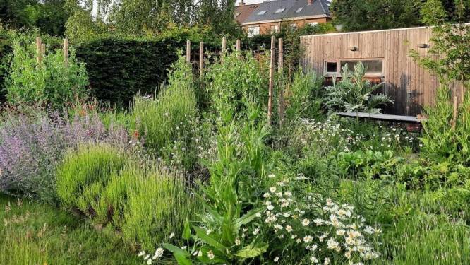 Tuinadviezen verlengd wegens groot succes