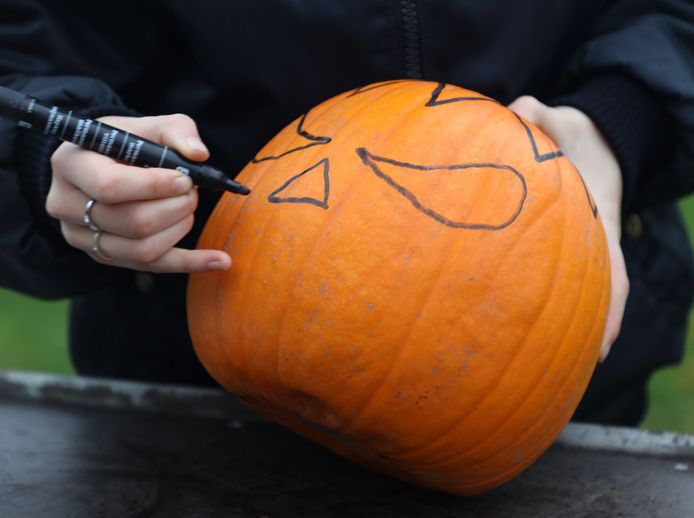 Zenuw Implicaties Parasiet Hoe maak je zelf een Halloween-pompoen? Bij Charlotte's Pompoenen doen ze  het even voor | Zeeuws-Vlaanderen | pzc.nl