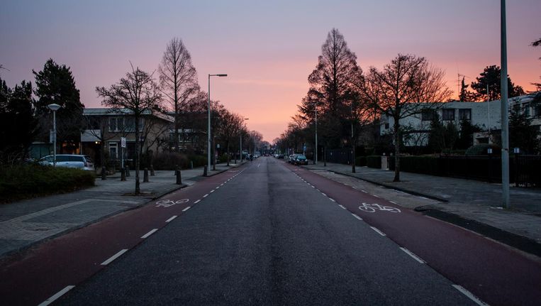 De Cuserstraat is de koudste straat van Amsterdam, onder andere door de vrijstaande huizen en weinig bomen Beeld Lin Woldendorp