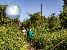 De Duursche Waarden: het groenste industrieterrein ligt langs de IJssel 