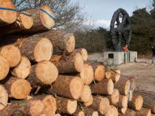 Weer nieuwe eigenaar Sparrenburgbos.  ‘We betrekken wijk er van begin af aan bij’