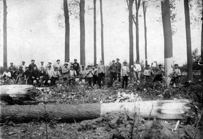 Het Sterrenbos achter Het Hof in Oud Gastel wordt rond 1911 gerooid.