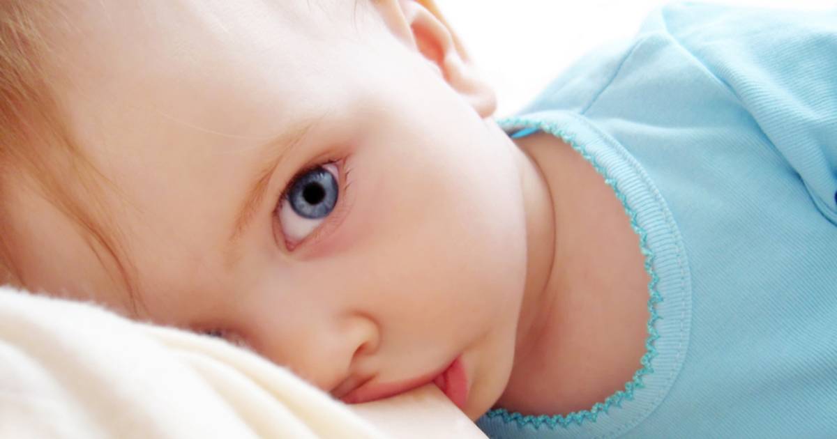 Lang Borstvoeding Geven Hoe Voelen De Vaders Zich Familie Hln Be