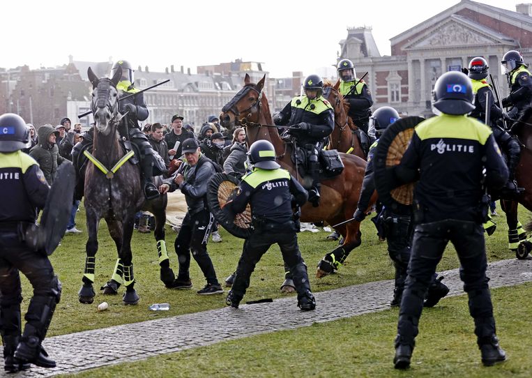 Amsterdamse 'politiekat' wereldwijd viral: 'Wordt herkend op straat