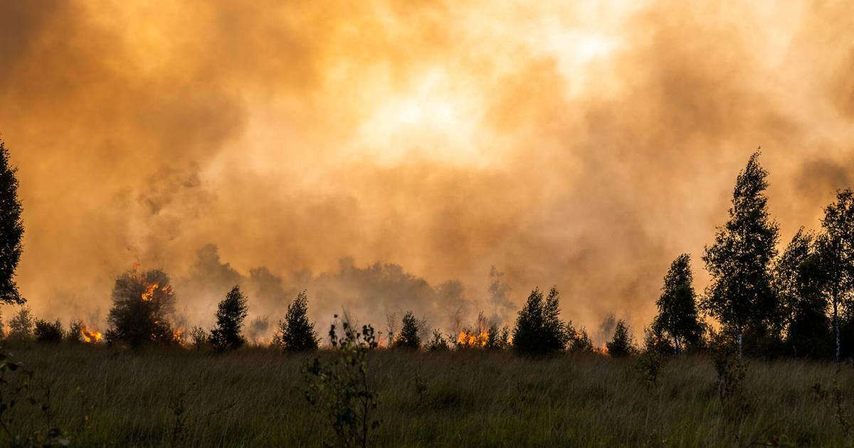 Gebied rondom natuurbrand de Peel veilig voor omwonenden, nablussen duurt mogelijk nog dagen - BN De