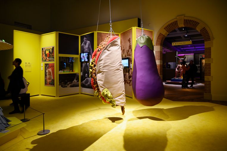  Interactieve installatie met aubergine- en tacoboksballen op de tentoonstelling ‘What a Genderful World’ in het Tropenmuseum Amsterdam.  Beeld Els Zweerink