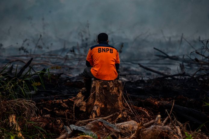 Een Indonesische brandweerman aanschouwt de ravage na een bosbrand in Kampar, Riau in 2019.
