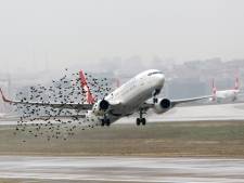 Turkish Airlines passe une commande à Airbus de 9,3 milliards de dollars